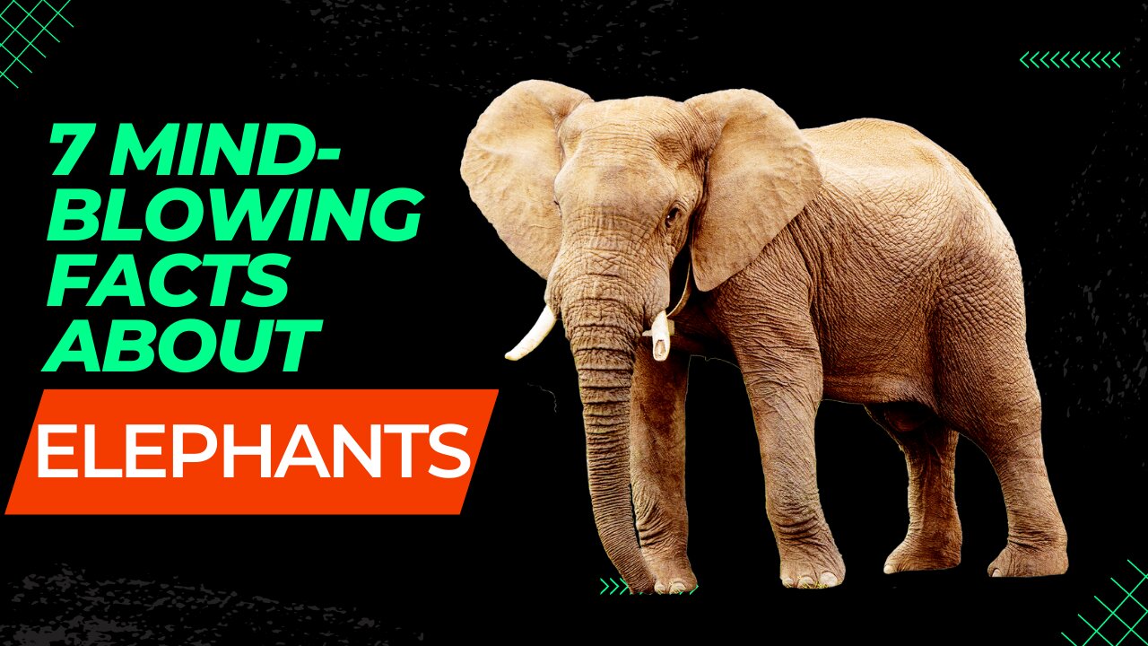 Discovering the Mighty Elephant: 7 Mind-Blowing Facts You Need to Know