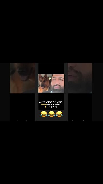 Reaction of Dog to the name Cat dog reaction to the name Cat Dog Cat 犬 cachorro Perro chien gaga سگ