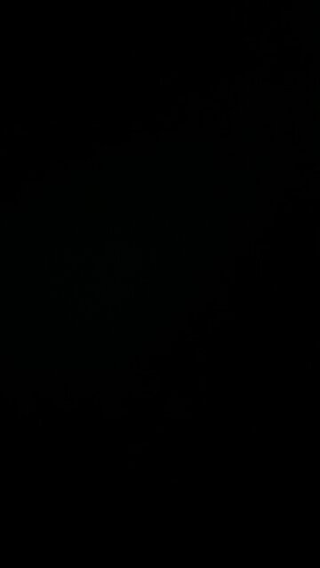 Cabbage on the grill