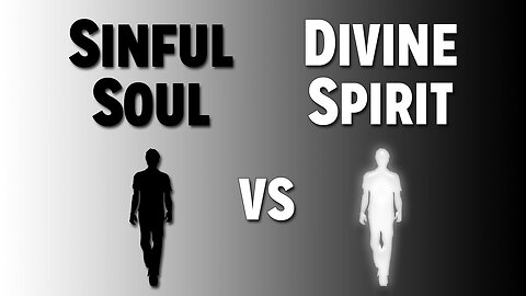 Sickness & Soul Damage Part 2: Sinful Soul vs. Divine Spirit