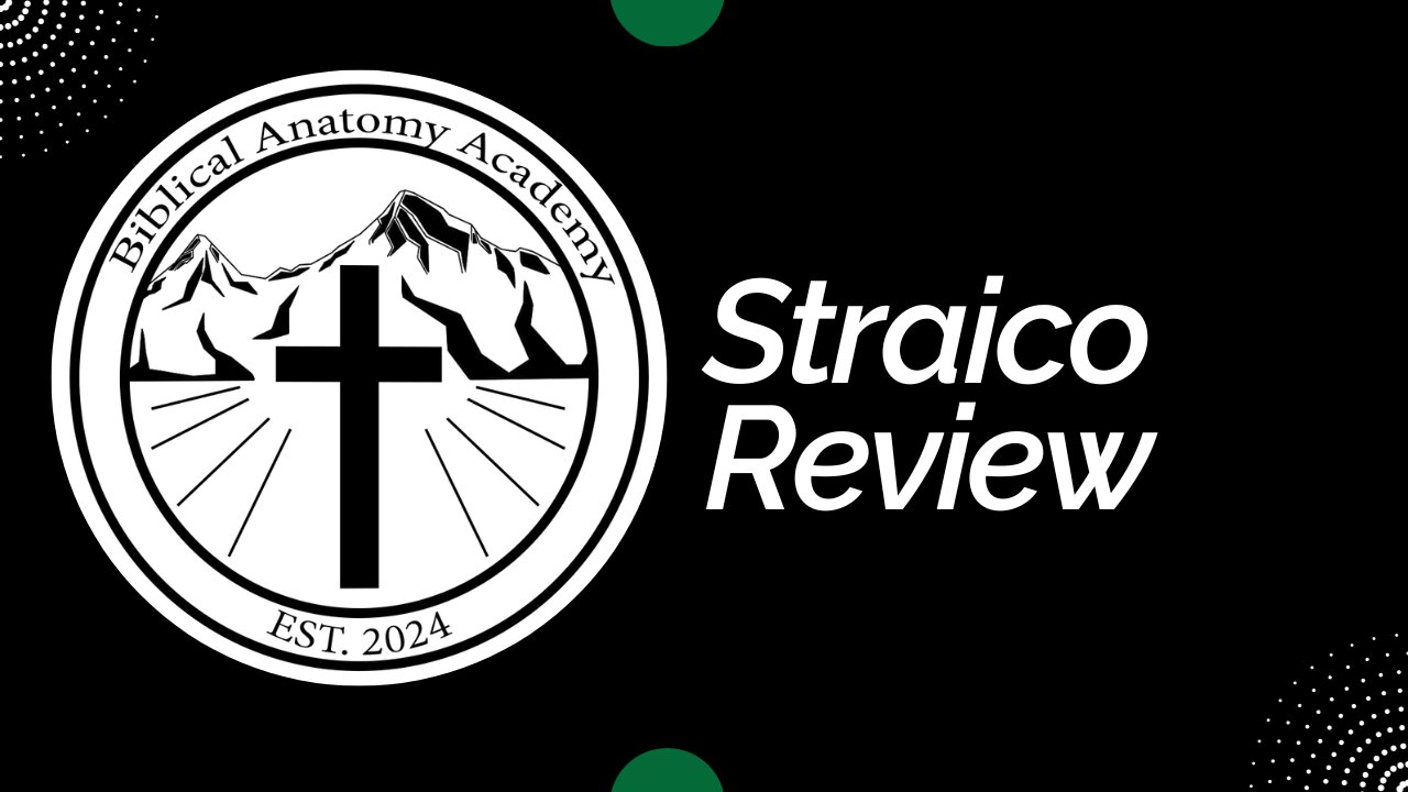 Straico | Every Button Review