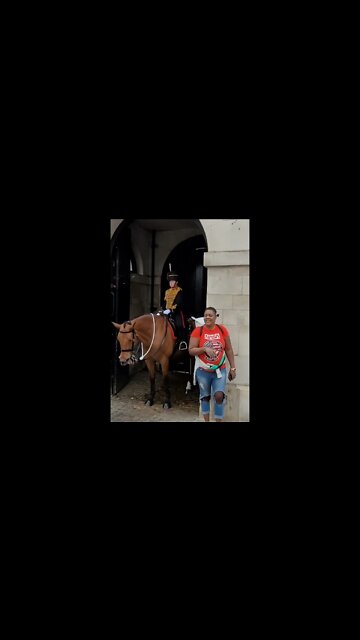 Horse scares tourist #horseguardsparade
