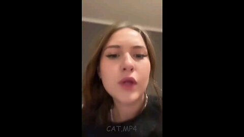 cat video