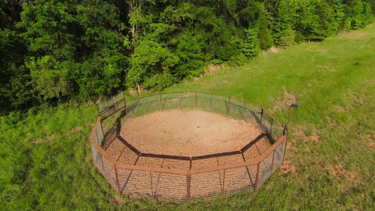 DJI FPV : CircleP (608)