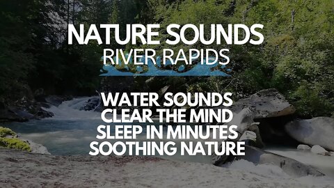 RELAXING RIVER SOUNDS, REAL RIVER RAPIDS SOUNDS TO CLEAR THE MIND, SLEEP IN MINUTES SOOTHING NATURE