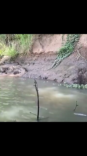 Walking on Water?... Watch This