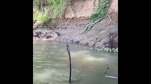 Walking on Water?... Watch This