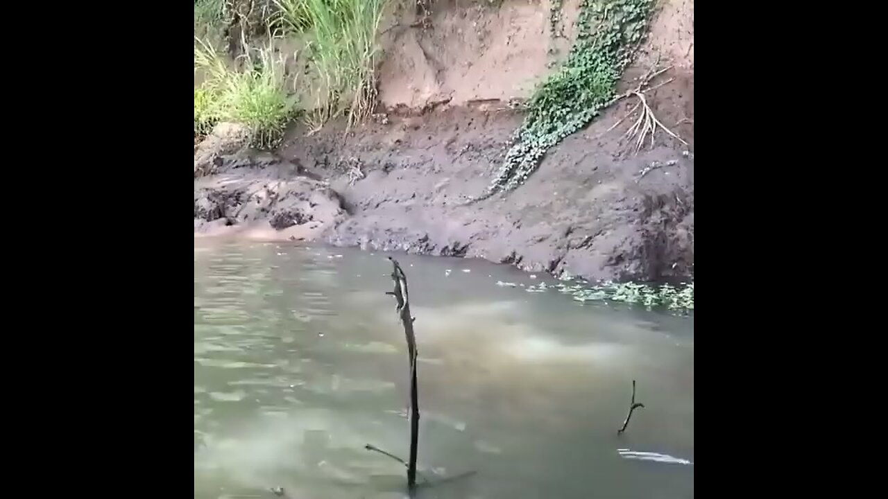 Walking on Water?... Watch This