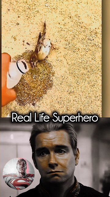 Real Life Heroic Moments