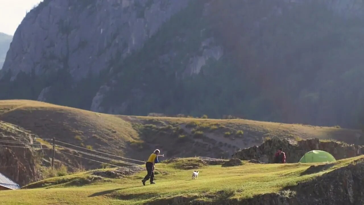 mature woman with a labrador retriever hiking in the country