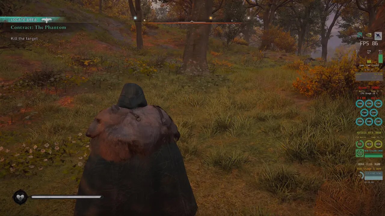 Assassin's Creed Valhalla Some Contracts