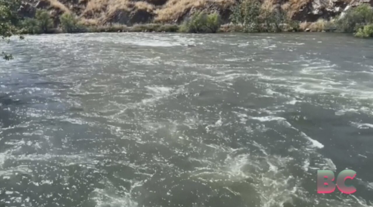 Girl, 8, and boy, 4, dead after getting swept away in strong California river current