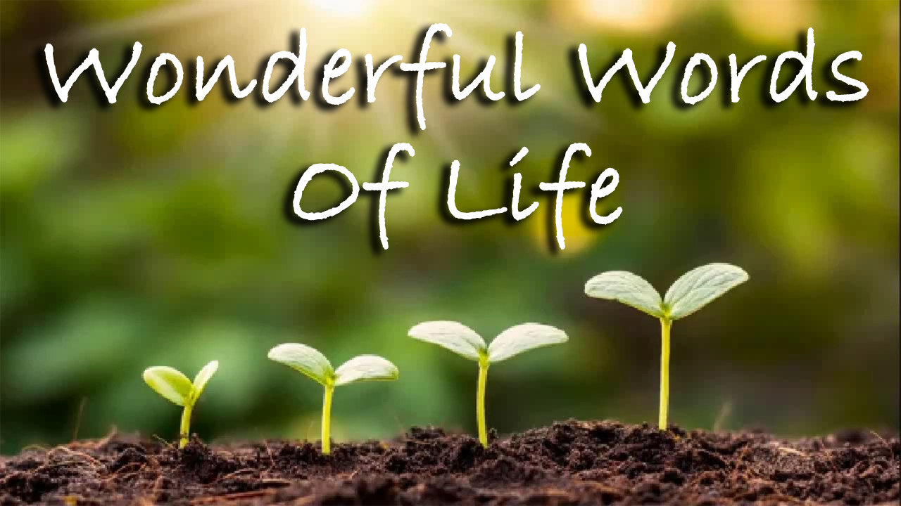 Wonderful Words Of Life -- Instrumental Hymn