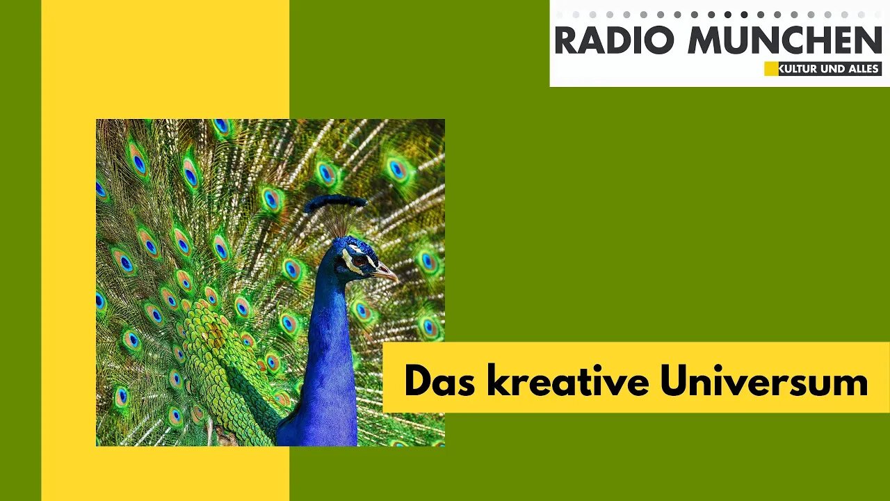 Das kreative Universum