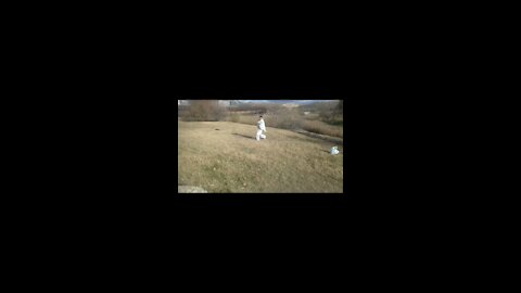 Kung fu - Taesuendao - Wushu - figuras (3) y thaos (2)