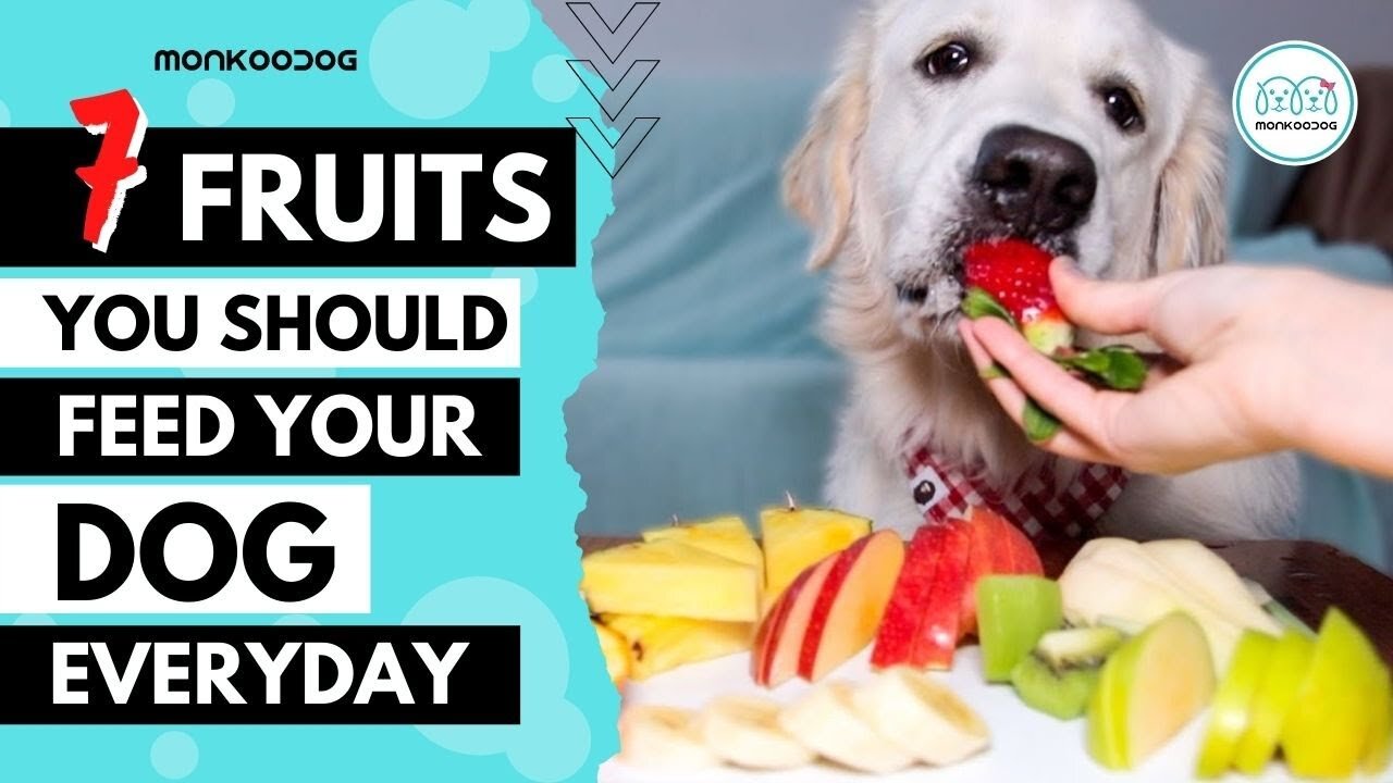 EASY, TWO (2) INGREDIENT, HOMEMADE DOG TREATS