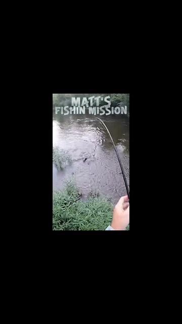 BEAST smallmouth in skinny Ohio creek (short version)