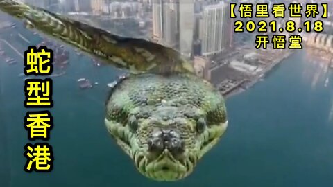 KWT2295蛇型香港20210818-6【悟里看世界】