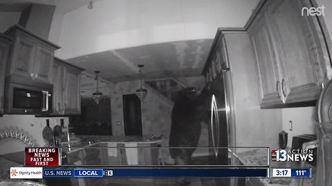 Bear breaks into home in Colorado