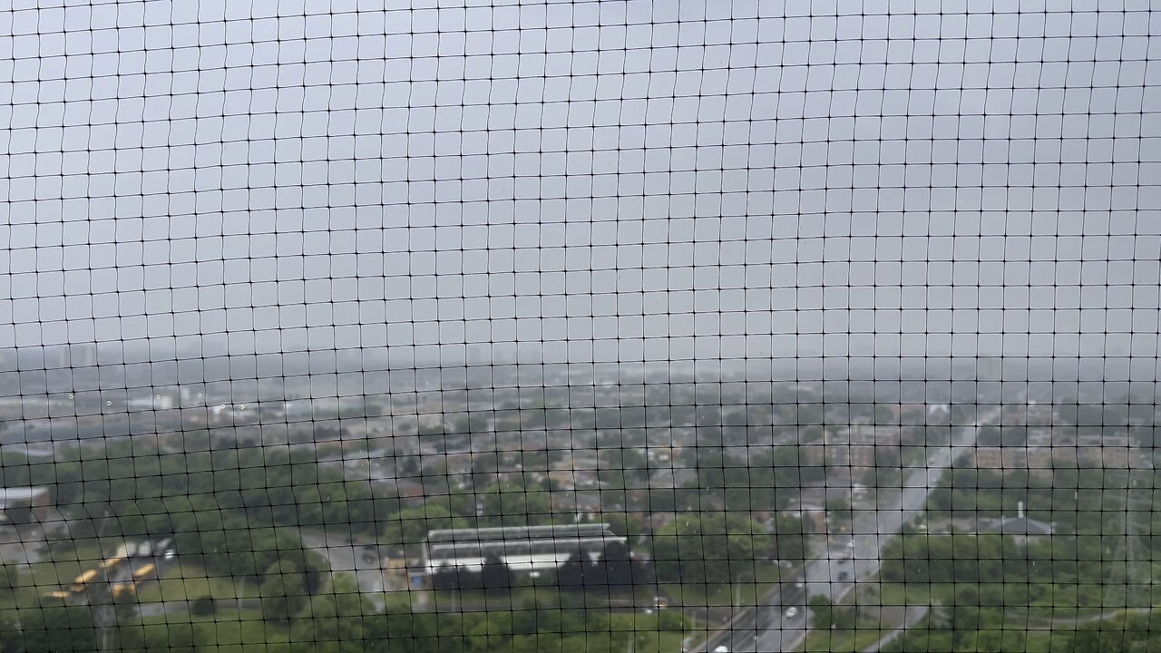 Rain storm finally arrives in Toronto