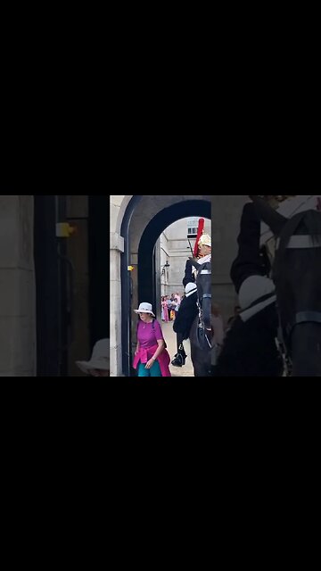 stupid tourist Walks through the box #horseguardsparade