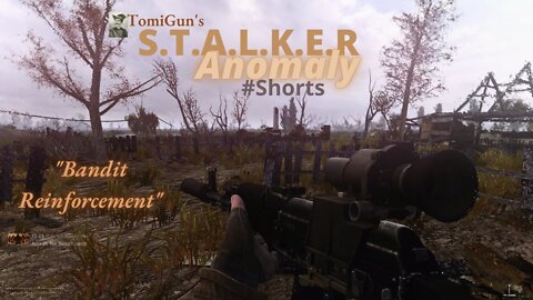 Bandit Reinforcement - S.T.A.L.K.E.R Anomaly Short Scene