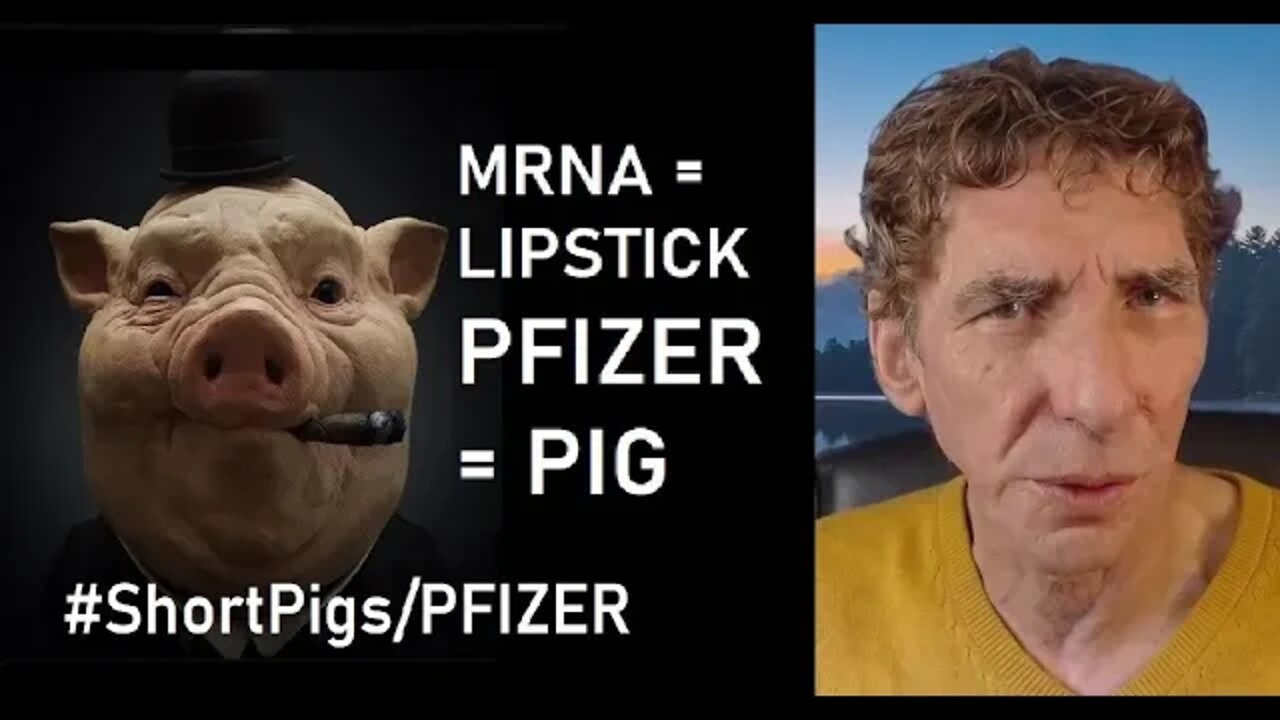 TIME TO SHORT THE PFIZER PIG TO ZERO | ShortThePigs/PFIZER