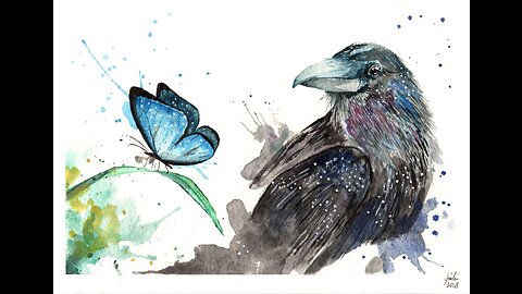 Butterfly vs. Raven