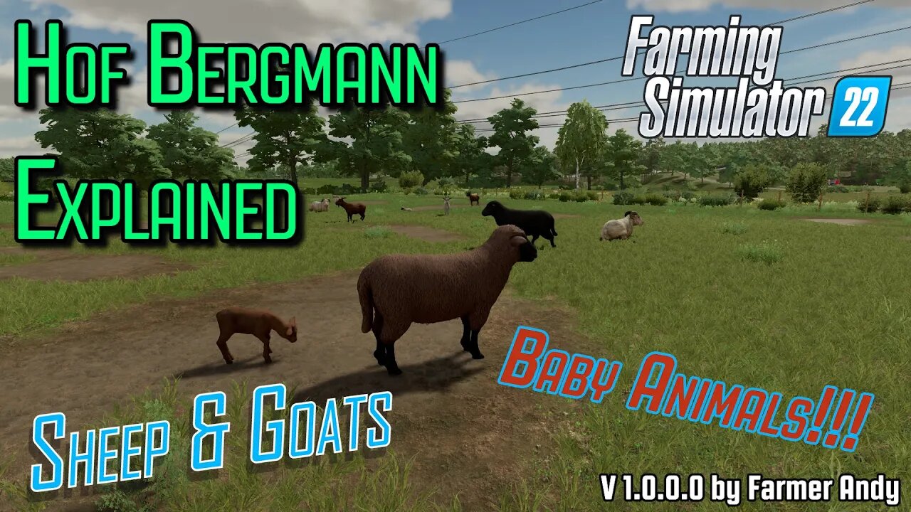 👨🏼🌾 FS22 Hof Bergmann Explained 👨🏼🌾 Sheep & Goats