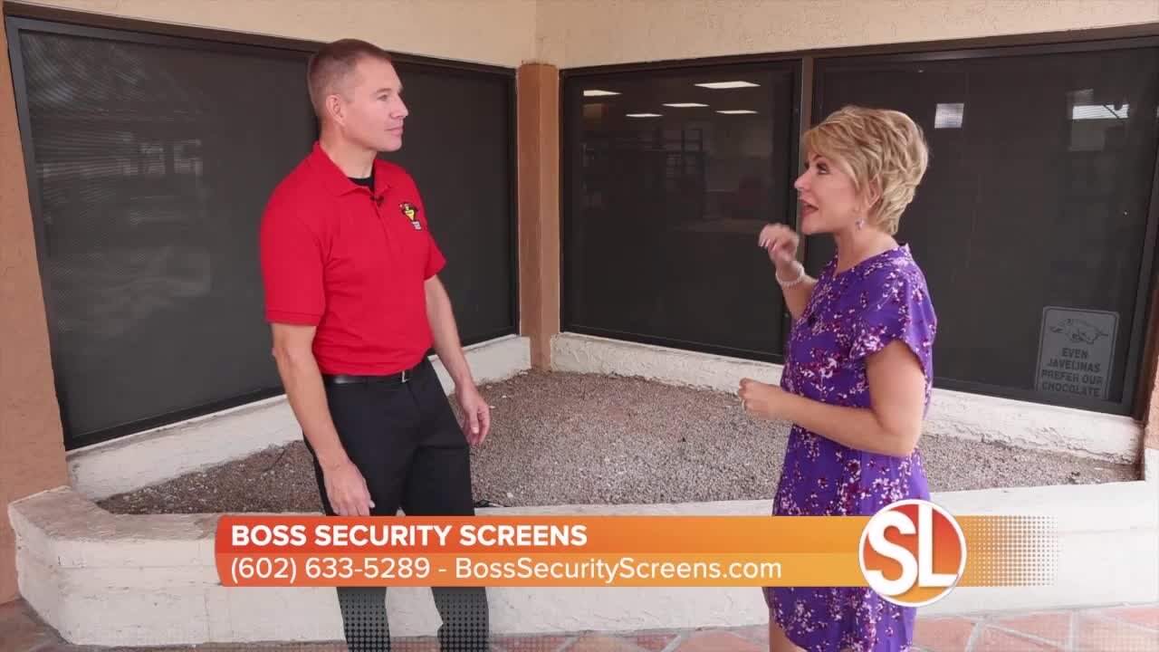 Boss Security Screens is available for homes and businesses