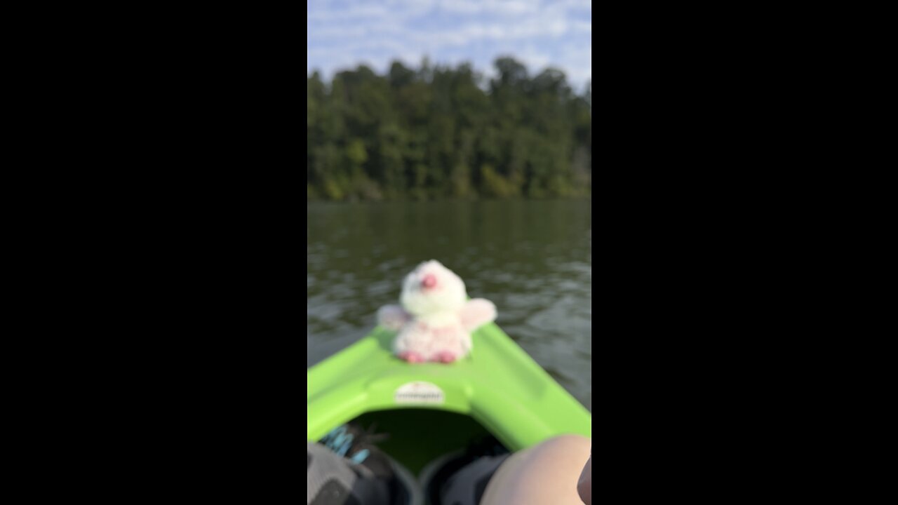 Spoingus on a canoe, ride, Kingston, Tennessee, clinch, river, 9/21/2023