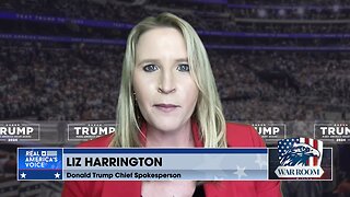 Liz Harrington: Trump Indictment Is All About Revenge Against American People.