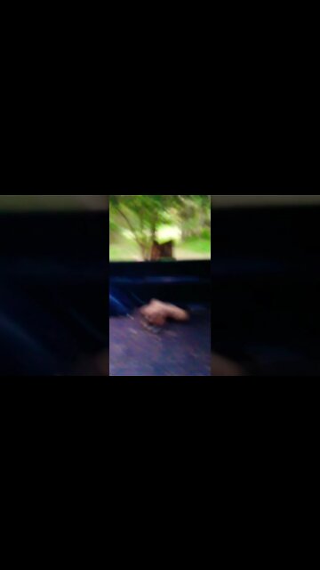 She said I was too young, but turns out I'm just the right oldness...