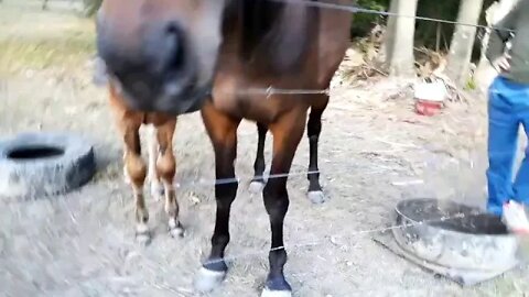 20180823_163432.mp4