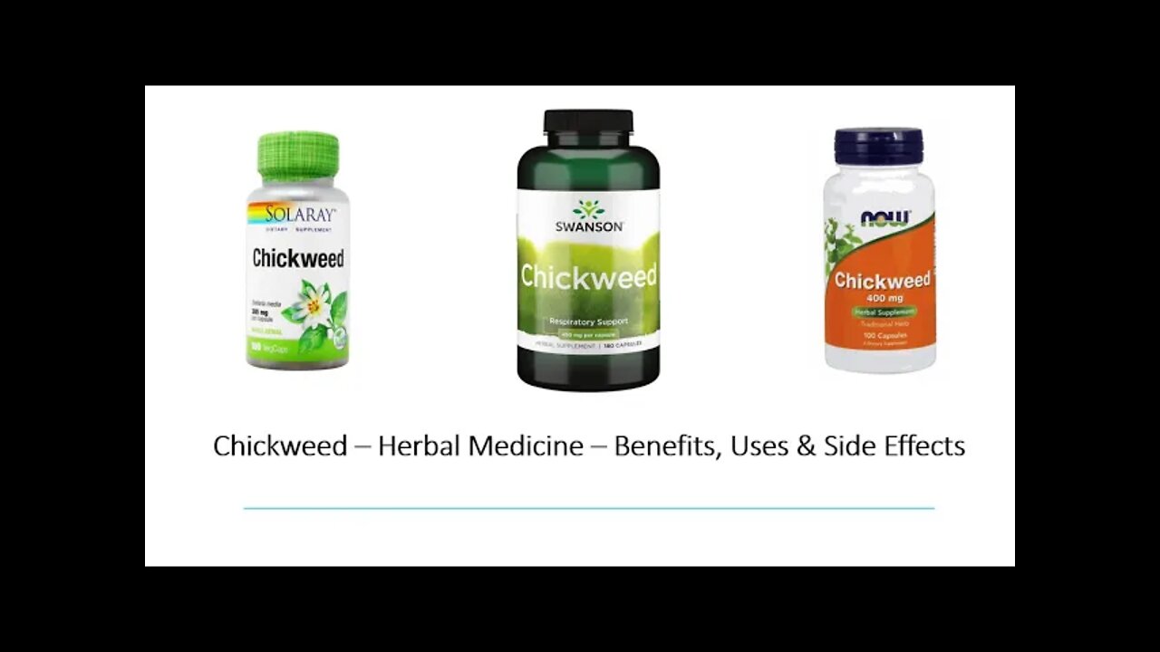 Chickweed Herbal Medicine Benefits, Uses & Side Effects