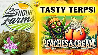 Trying Peaches & Cream THCa from 25 Hour Farms! The Dank Flamingo Cannabis Review!!