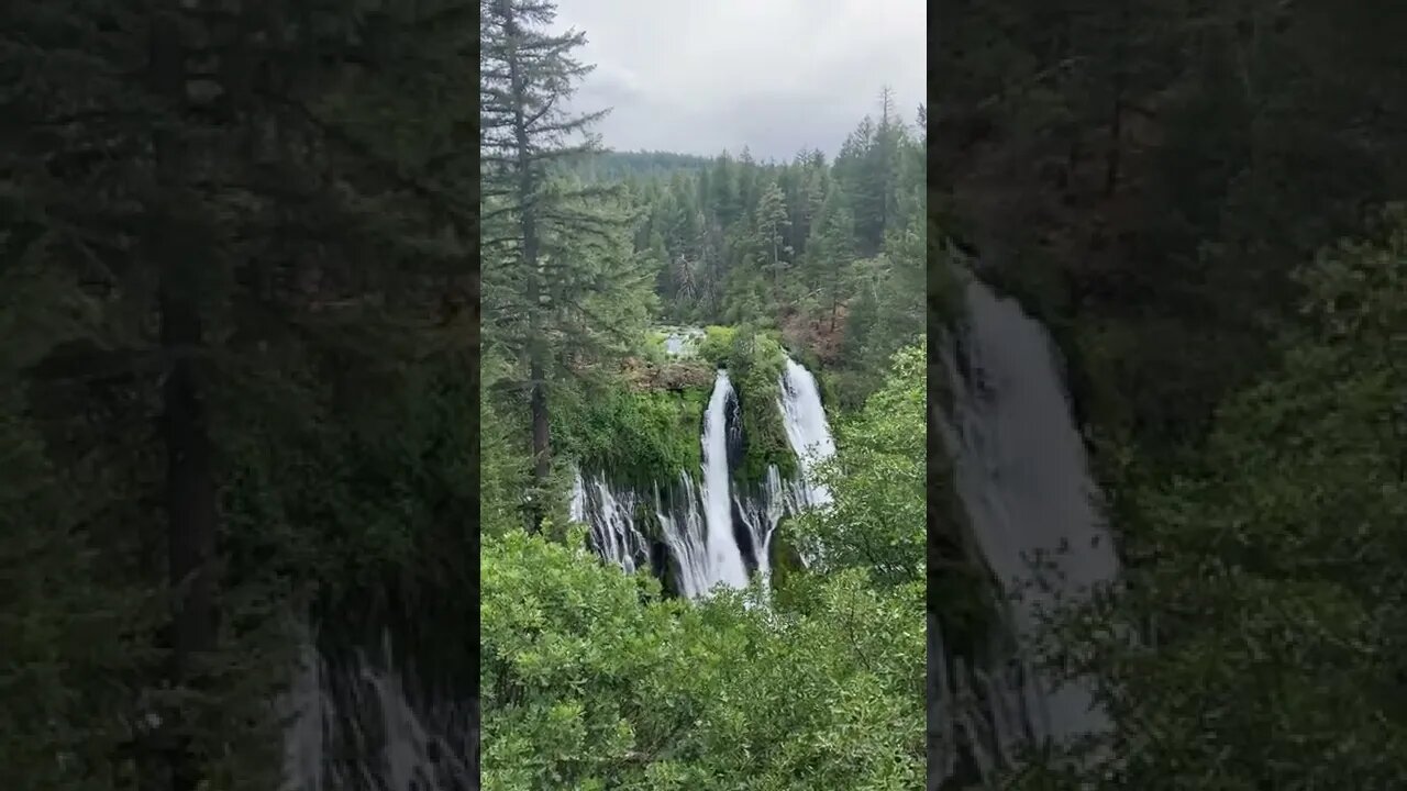 waterfall#naturevibes#gooutside#shorts