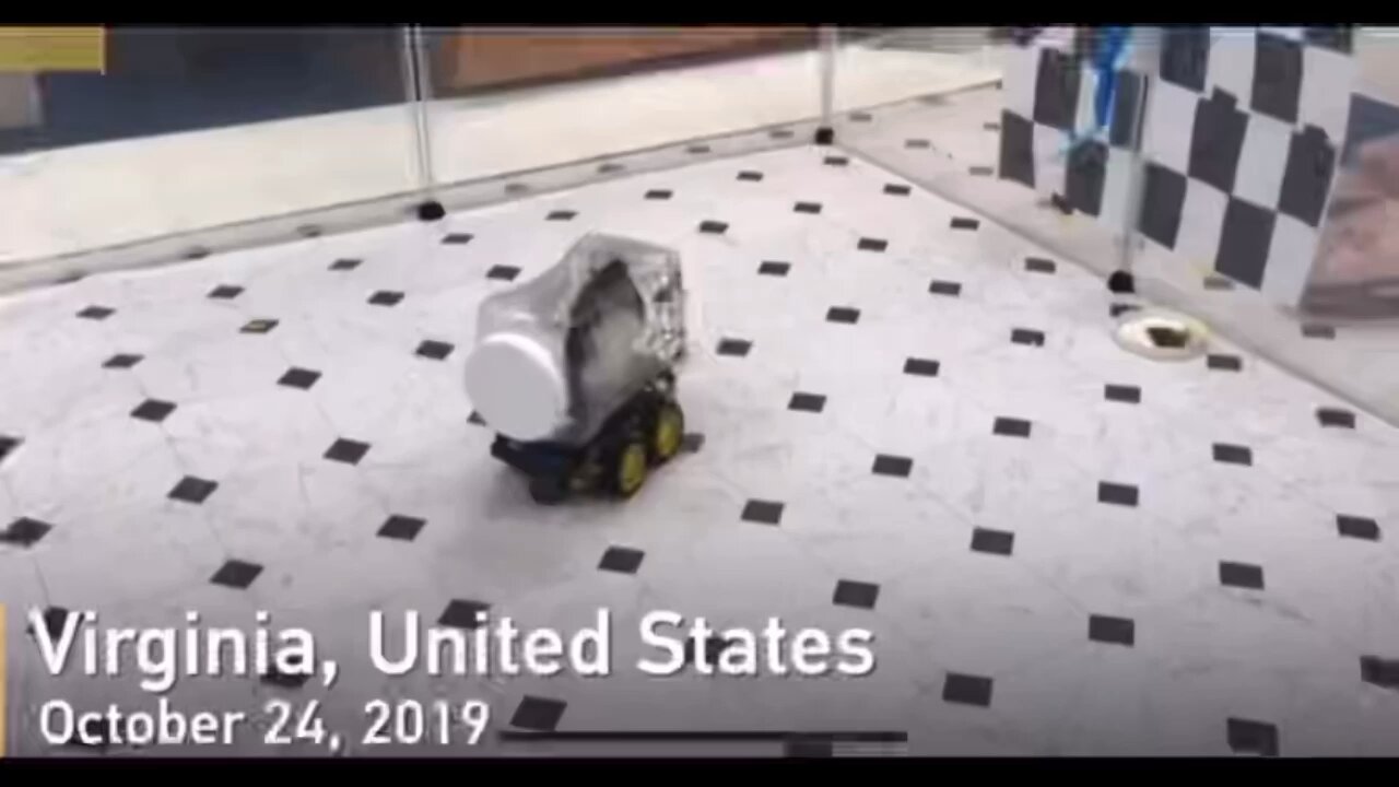 Rats Driving Cars For Treats