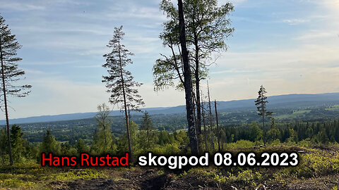 Skogpod 8. juni 2023