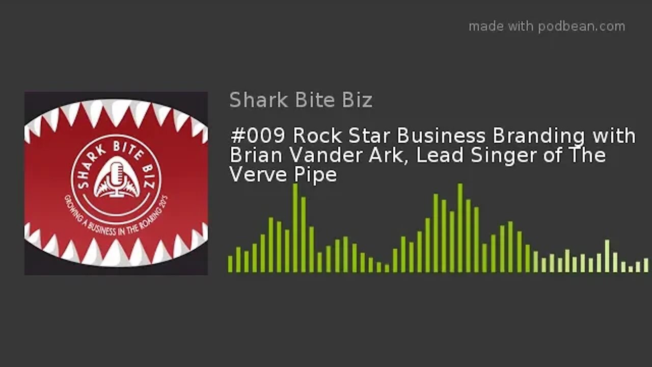 #009 Rock Star Business Branding with Brian Vander Ark, Lead Singer of The Verve Pipe