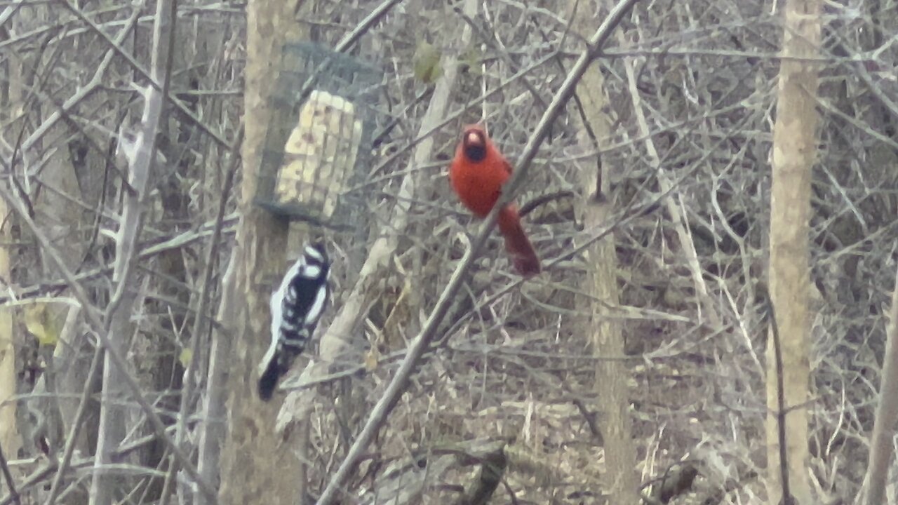 James Gardens Toronto Happiness 4