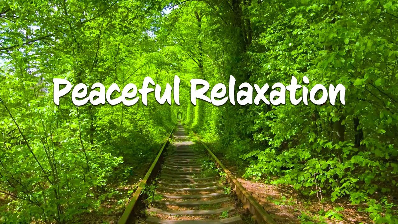 Beautiful Piano Music - Soothing Piano Music For Stress Relief, Healing, Peaceful Relaxation