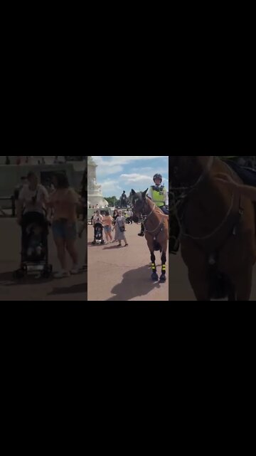 part 3 police women on horseback grabs tourist by his rucksack #buckinghampalace