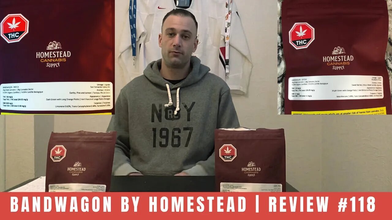 BANDWAGON by Homestead | Review #118