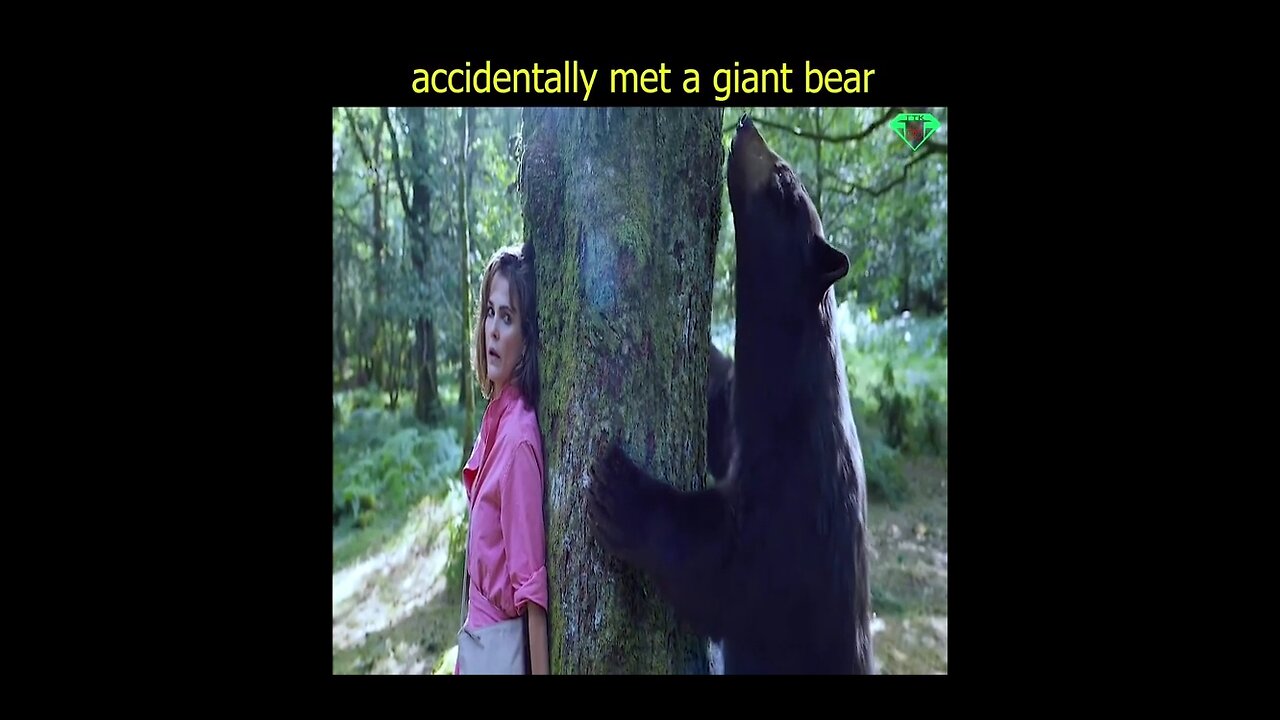 Accidently meet a bear