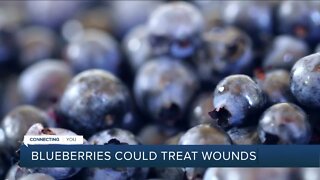 Blueberries could help treat wounds