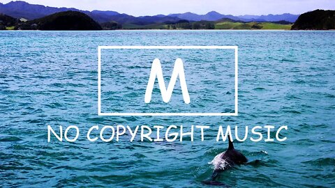 Sappheiros - Lights（Mm No Copyright Music）