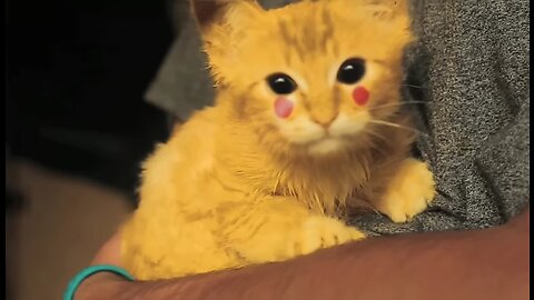 The hunt for Pikachu