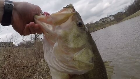 Bass Fishing | Pink YUM Dinger lands me a PR