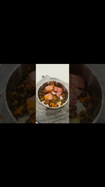 Dinner time for Samson and Nala 1